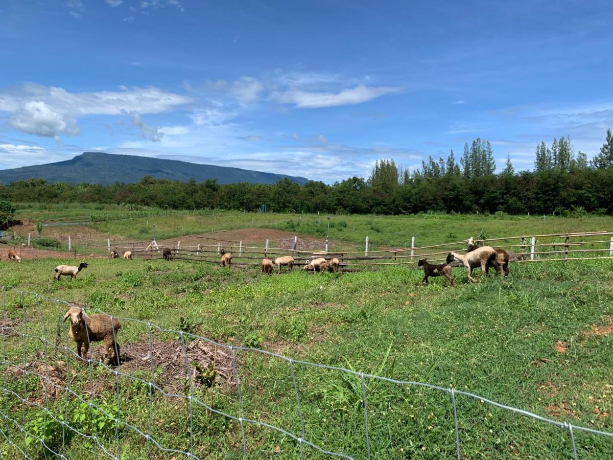 ฟาร์มแกะภูกระดึง Waraporn Valley Ban Nong Tum Esterno foto