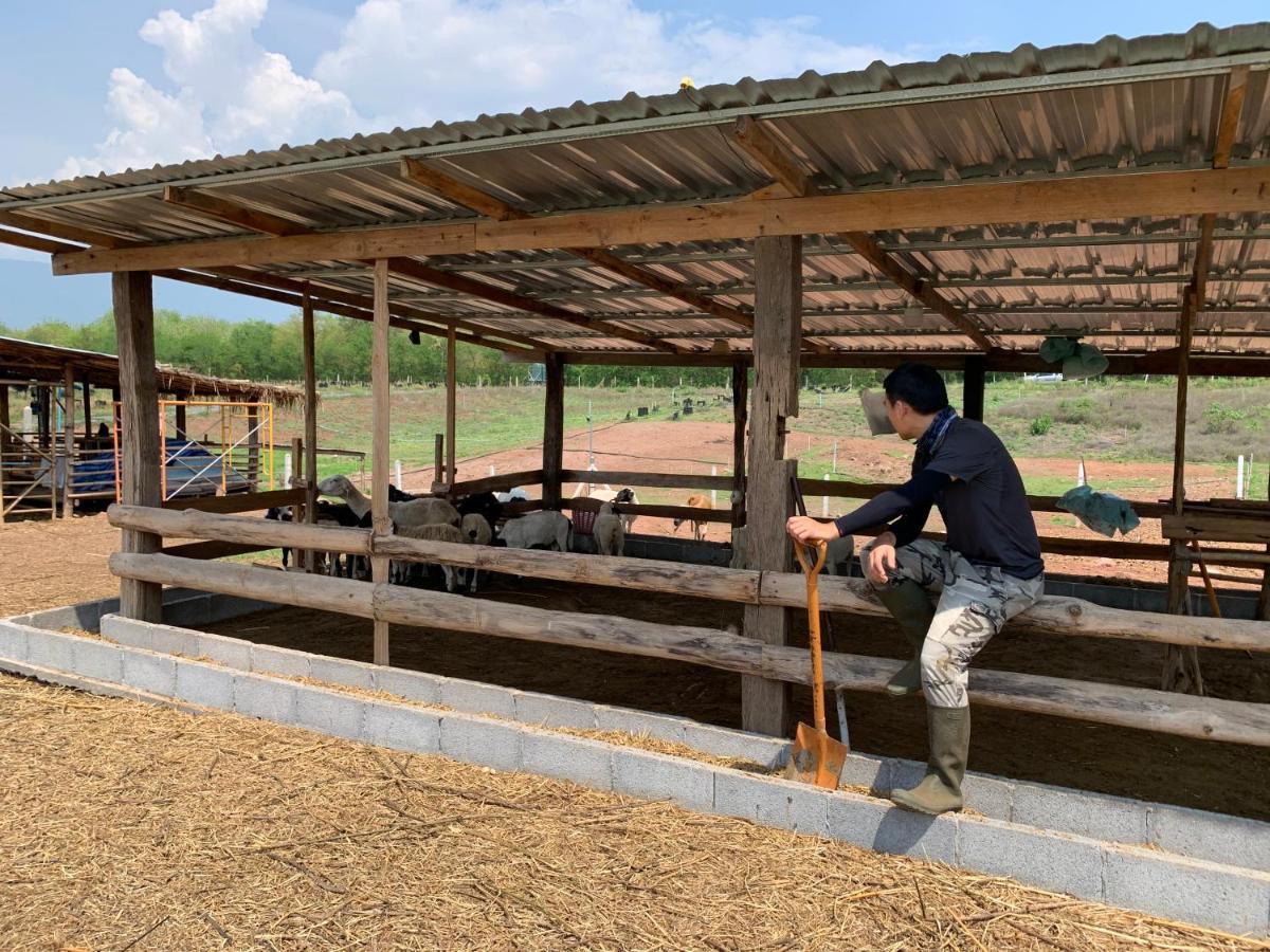 ฟาร์มแกะภูกระดึง Waraporn Valley Ban Nong Tum Esterno foto