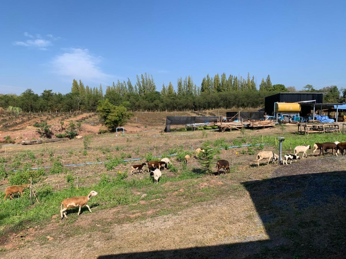 ฟาร์มแกะภูกระดึง Waraporn Valley Ban Nong Tum Esterno foto